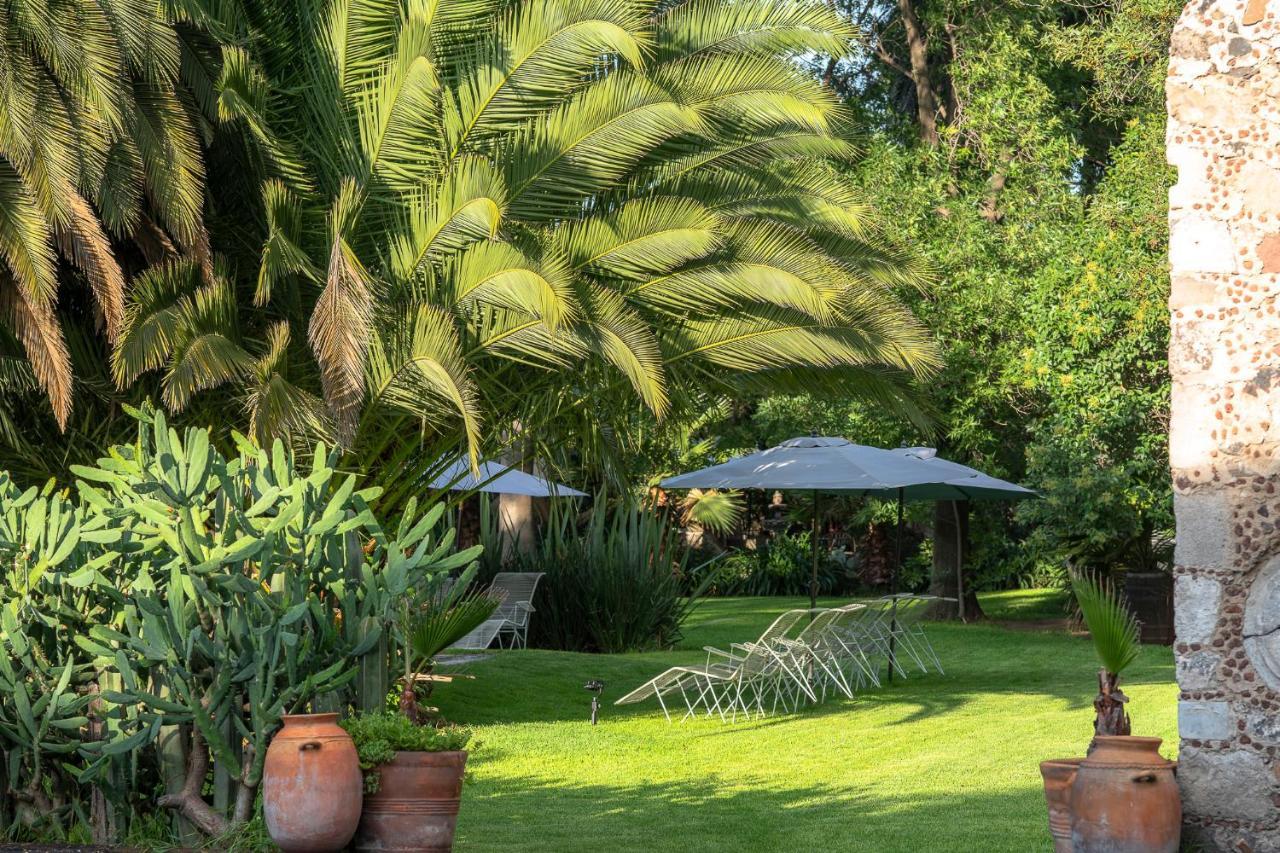 Posada Colibri - Hotel & Spa San Juan Teotihuacán エクステリア 写真