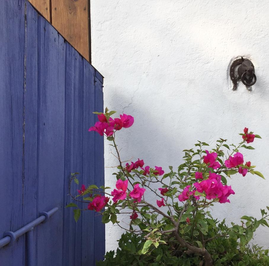 Posada Colibri - Hotel & Spa San Juan Teotihuacán エクステリア 写真