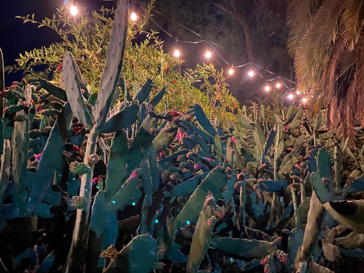 Posada Colibri - Hotel & Spa San Juan Teotihuacán エクステリア 写真